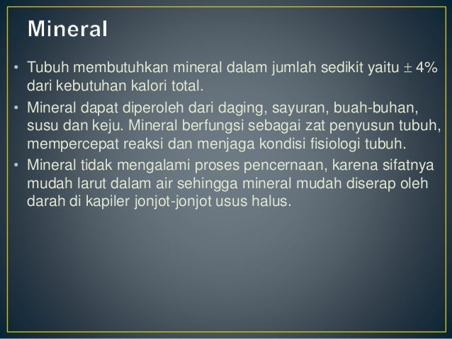 Sistem Pencernaan Pada Manusia