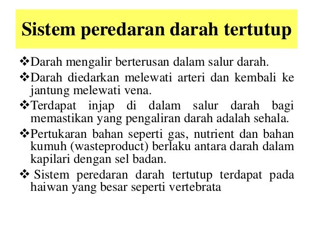 Sistem peredaran-darah lapooran