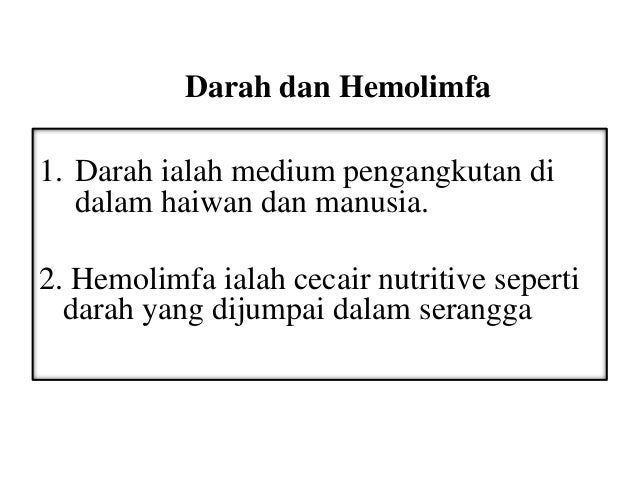Sistem Peredaran Darah Lapooran