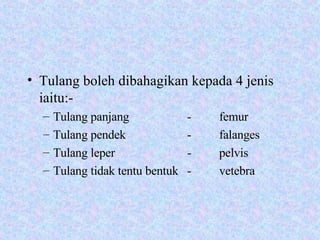 Tulang boleh dibahagikan kepada 4 jenis iaitu:- Tulang panjang  - femur Tulang pendek - falanges Tulang leper - pelvis Tulang tidak tentu bentuk - vetebra 