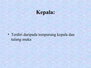 Kepala: Terdiri daripada tempurung kepala dan tulang muka 