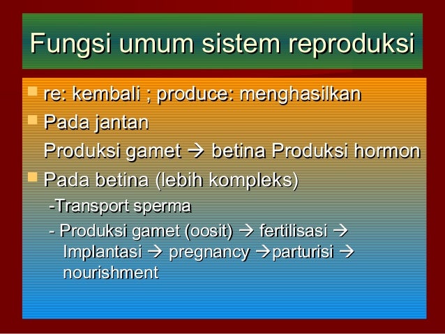 Sistem reproduksi
