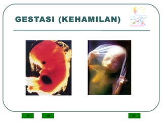 GESTASI (KEHAMILAN)
 