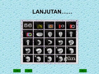 LANJUTAN……
 