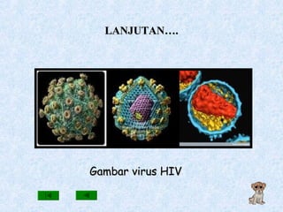 LANJUTAN….LANJUTAN….
Gambar virus HIVGambar virus HIV
 