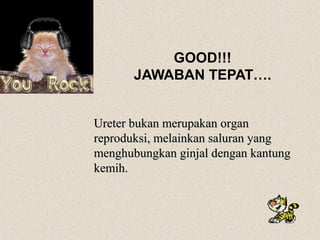 GOOD!!!
JAWABAN TEPAT….
Ureter bukan merupakan organUreter bukan merupakan organ
reproduksi, melainkan saluran yangreproduksi, melainkan saluran yang
menghubungkan ginjal dengan kantungmenghubungkan ginjal dengan kantung
kemih.kemih.
 