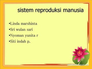 sistem reproduksi manusia
•Linda marshinta
•Sri wulan sari
•Nyoman yunita r
•Siti indah p.
 