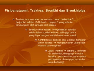 Fisioanataomi: Trakhea, Bronkhi dan Bronkhiolus
Trachea tersusun atas cincin-cincin rawan berbentuk C,
berjumlah sekitar 15-20 buah. , bagian C yang terbuka
dihubungkan oleh jaringan otot berkas
Struktur cincin rawan: menyebabkan trachea
selalu dalam kondisi terbuka, sehingga udara
yang dapat dengan mudah keluar atau masuk.
Kontraksi otot polos di bag. C untuk mengatur
lumen trachea - mengatur aliran udara saat
inspirasi dan ekspirasi
Jalur: Trakhea  cabang 2 : bronchi
 bronkhioli, dilengkapi mukosa
bersilia. : pembersihan pada system
pernapasan, menyapu mucus ke
atas (ke faring)
 