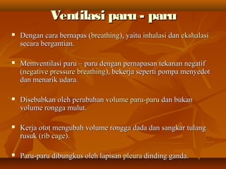 Ventilasi paru - paruVentilasi paru - paru
 Dengan cara bernapas (Dengan cara bernapas (breathingbreathing), yaitu), yaitu inhalasiinhalasi dandan ekshalasiekshalasi
secara bergantian.secara bergantian.
 Memventilasi paru – paru dengan pernapasan tekanan negatifMemventilasi paru – paru dengan pernapasan tekanan negatif
((negative pressure breathingnegative pressure breathing), bekerja seperti pompa menyedot), bekerja seperti pompa menyedot
dan menarik udara.dan menarik udara.
 Disebabkan oleh perubahanDisebabkan oleh perubahan volume paru-paruvolume paru-paru dan bukandan bukan
volume rongga mulut.volume rongga mulut.
 Kerja otot mengubah volume rongga dada dan sangkar tulangKerja otot mengubah volume rongga dada dan sangkar tulang
rusukrusuk (rib cage)(rib cage)..
 Paru-paru dibungkus oleh lapisanParu-paru dibungkus oleh lapisan pleurapleura dinding ganda.dinding ganda.
 