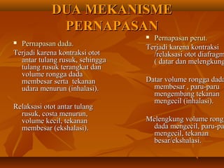 DUA MEKANISMEDUA MEKANISME
PERNAPASANPERNAPASAN
 Pernapasan dada.Pernapasan dada.
Terjadi karena kontraksi ototTerjadi karena kontraksi otot
antar tulang rusuk, sehinggaantar tulang rusuk, sehingga
tulang rusuk terangkat dantulang rusuk terangkat dan
volume rongga dadavolume rongga dada
membesar serta tekananmembesar serta tekanan
udara menurun (inhalasi).udara menurun (inhalasi).
Relaksasi otot antar tulangRelaksasi otot antar tulang
rusuk, costa menurun,rusuk, costa menurun,
volume kecil, tekananvolume kecil, tekanan
membesar (ekshalasi).membesar (ekshalasi).
 Pernapasan perut.Pernapasan perut.
Terjadi karena kontraksiTerjadi karena kontraksi
/relaksasi otot diafragm/relaksasi otot diafragm
( datar dan melengkung( datar dan melengkung
Datar volume rongga dadaDatar volume rongga dada
membesar , paru-parumembesar , paru-paru
mengembang tekananmengembang tekanan
mengecil (inhalasi).mengecil (inhalasi).
Melengkung volume ronggMelengkung volume rongg
dada mengecil, paru-padada mengecil, paru-pa
mengecil, tekananmengecil, tekanan
besar/ekshalasi.besar/ekshalasi.
 