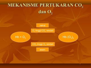 MEKANISME PERTUKARAN COMEKANISME PERTUKARAN CO22
dan Odan O22
Hb + O2 Hb (O2)4
O2 tinggi CO2 rendah
CO2 tinggi O2 rendah
netral
asam
 