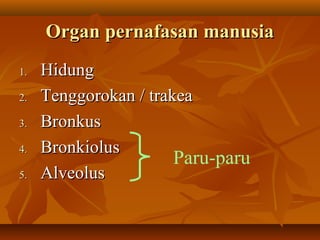 Organ pernafasan manusiaOrgan pernafasan manusia
1.1. HidungHidung
2.2. Tenggorokan / trakeaTenggorokan / trakea
3.3. BronkusBronkus
4.4. BronkiolusBronkiolus
5.5. AlveolusAlveolus
Paru-paru
 