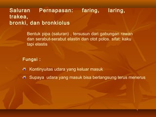 Saluran Pernapasan: faring, laring,
trakea,
bronki, dan bronkiolus
Bentuk pipa (saluran) , tersusun dari gabungan rawan
dan serabut-serabut elastin dan otot polos. sifat: kaku
tapi elastis
Fungsi :
Kontinyuitas udara yang keluar masuk
Supaya udara yang masuk bisa berlangsung terus menerus
 