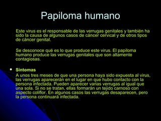 Papiloma humanoPapiloma humano
Este virus es el responsable de las verrugas genitales y también haEste virus es el responsable de las verrugas genitales y también ha
sido la causa de algunos casos de cáncer cervical y de otros tipossido la causa de algunos casos de cáncer cervical y de otros tipos
de cáncer genital.de cáncer genital.
Se desconoce qué es lo que produce este virus. El papilomaSe desconoce qué es lo que produce este virus. El papiloma
humano produce las verrugas genitales que son altamentehumano produce las verrugas genitales que son altamente
contagiosas.contagiosas.
 SíntomasSíntomas
A unos tres meses de que una persona haya sido expuesta al virus,A unos tres meses de que una persona haya sido expuesta al virus,
las verrugas aparecerán en el lugar en que hubo contacto con lalas verrugas aparecerán en el lugar en que hubo contacto con la
persona infectada. Pueden aparecer varias verrugas al igual quepersona infectada. Pueden aparecer varias verrugas al igual que
una sola. Si no se tratan, ellas formarán un tejido carnoso conuna sola. Si no se tratan, ellas formarán un tejido carnoso con
aspecto coliflor. En algunos casos las verrugas desaparecen, peroaspecto coliflor. En algunos casos las verrugas desaparecen, pero
la persona continuará infectada.la persona continuará infectada.
 