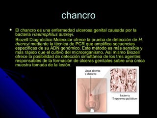 chancrochancro
 El chancro es una enfermedad ulcerosa genital causada por laEl chancro es una enfermedad ulcerosa genital causada por la
bacteriabacteria Haemophilus ducreyiHaemophilus ducreyi..
Biozell Diagnóstico Molecular ofrece la prueba de detección deBiozell Diagnóstico Molecular ofrece la prueba de detección de H.H.
ducreyiducreyi mediante la técnica de PCR que amplifica secuenciasmediante la técnica de PCR que amplifica secuencias
específicas de su ADN genómico. Este método es más sensible yespecíficas de su ADN genómico. Este método es más sensible y
más rápido que el cultivo del microorganismo. Así mismo Biozellmás rápido que el cultivo del microorganismo. Así mismo Biozell
ofrece la posibilidad de detección simultánea de los tres agentesofrece la posibilidad de detección simultánea de los tres agentes
responsables de la formación de úlceras genitales sobre una únicaresponsables de la formación de úlceras genitales sobre una única
muestra tomada de la lesión.muestra tomada de la lesión.
 