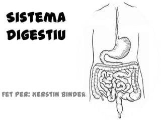Sistema
 digestiu


Fet per: Kerstin Bindernagel
 