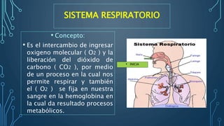 SISTEMA RESPIRATORIO
• Concepto:
• Es el intercambio de ingresar
oxigeno molecular ( O2 ) y la
liberación del dióxido de
carbono ( CO2 ), por medio
de un proceso en la cual nos
permite respirar y también
el ( O2 ) se fija en nuestra
sangre en la hemoglobina en
la cual da resultado procesos
metabólicos.
• INICIA
 