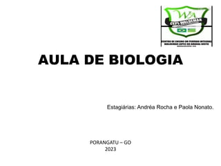 AULA DE BIOLOGIA
Estagiárias: Andréa Rocha e Paola Nonato.
PORANGATU – GO
2023
 