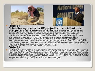  (foto 1)
Subsídios agrícolas da UE prejudicam contribuintes
europeus e agricultores africanosGrandes empresas do
setor de alimentos, e não pequenos agricultores, são os
maiores beneficiados com os bilionários subsídios agrícolas
da União Europeia (UE). O prejuízo é dos contribuintes
europeus e dos produtores dos países pobres. Na UE, os 60%
menores produtores recebem 10% do dinheiro dos subsídios, e
2% do andar de cima ficam com 25%.
(foto 2)
 Subsídios agrícolas e energias renováveis são alguns dos focos
de discórdia da Conferência das Nações Unidas sobre Ambiente
e Desenvolvimento Sustentável (Rio +10), que foi aberta nesta
segunda-feira (16/8) em Johannesburgo.
 