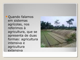 Quando falamos
em sistemas
agrícolas, nos
referimos à
agricultura, que se
apresenta de duas
formas: agricultura
intensiva e
agricultura
extensiva
 