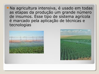 Na agricultura intensiva, é usado em todas
as etapas da produção um grande número
de insumos. Esse tipo de sistema agrícola
é marcado pela aplicação de técnicas e
tecnologias
 