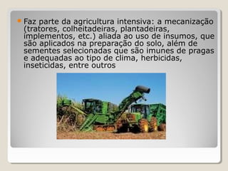 Faz parte da agricultura intensiva: a mecanização
(tratores, colheitadeiras, plantadeiras,
implementos, etc.) aliada ao uso de insumos, que
são aplicados na preparação do solo, além de
sementes selecionadas que são imunes de pragas
e adequadas ao tipo de clima, herbicidas,
inseticidas, entre outros
 
