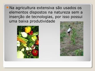 Na agricultura extensiva são usados os
elementos dispostos na natureza sem a
inserção de tecnologias, por isso possui
uma baixa produtividade
 