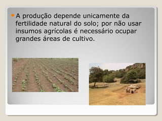 A produção depende unicamente da
fertilidade natural do solo; por não usar
insumos agrícolas é necessário ocupar
grandes áreas de cultivo.
 