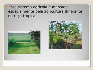 Esse sistema agrícola é marcado
especialmente pela agricultura itinerante
ou roça tropical.
 