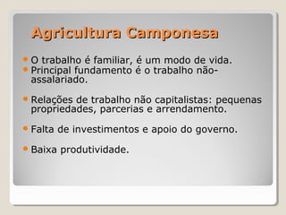 Agricultura CamponesaAgricultura Camponesa
O trabalho é familiar, é um modo de vida.
Principal fundamento é o trabalho não-
assalariado.
Relações de trabalho não capitalistas: pequenas
propriedades, parcerias e arrendamento.
Falta de investimentos e apoio do governo.
Baixa produtividade.
 