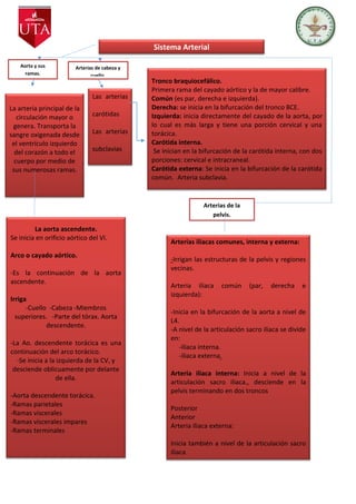 c
Sistema Arterial
Aorta y sus
ramas.
Arterias de la
pelvis.
Arterias de cabeza y
cuello.
La arteria principal de la
circulación mayor o
genera. Transporta la
sangre oxigenada desde
el ventrículo izquierdo
del corazón a todo el
cuerpo por medio de
sus numerosas ramas.
La aorta ascendente.
Se inicia en orificio aórtico del VI.
Arco o cayado aórtico.
-Es la continuación de la aorta
ascendente.
Irriga
-Cuello -Cabeza -Miembros
superiores. -Parte del tórax. Aorta
descendente.
-La Ao. descendente torácica es una
continuación del arco torácico.
-Se inicia a la izquierda de la CV, y
desciende oblicuamente por delante
de ella.
-Aorta descendente torácica.
-Ramas parietales
-Ramas viscerales
-Ramas viscerales impares
-Ramas terminales
Las arterias
carótidas
Las arterias
subclavias
Tronco braquiocefálico.
Primera rama del cayado aórtico y la de mayor calibre.
Común (es par, derecha e izquierda).
Derecha: se inicia en la bifurcación del tronco BCE.
Izquierda: inicia directamente del cayado de la aorta, por
lo cual es más larga y tiene una porción cervical y una
torácica.
Carótida interna.
Se inician en la bifurcación de la carótida interna, con dos
porciones: cervical e intracraneal.
Carótida externa: Se inicia en la bifurcación de la carótida
común. Arteria subclavia.
Arterias iliacas comunes, interna y externa:
-Irrigan las estructuras de la pelvis y regiones
vecinas.
Arteria ilíaca común (par, derecha e
izquierda):
-Inicia en la bifurcación de la aorta a nivel de
L4.
-A nivel de la articulación sacro iliaca se divide
en:
-iliaca interna.
-iliaca externa.
Arteria iliaca interna: Inicia a nivel de la
articulación sacro iliaca., desciende en la
pelvis terminando en dos troncos
Posterior
Anterior
Arteria iliaca externa:
Inicia también a nivel de la articulación sacro
iliaca
 