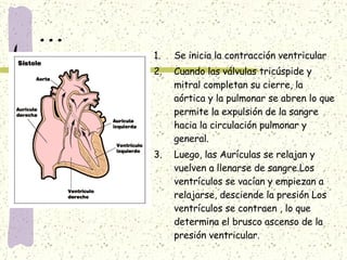 ... Se inicia la contracción ventricular Cuando las válvulas tricúspide y mitral completan su cierre, la aórtica y la pulmonar se abren lo que permite la expulsión de la sangre hacia la circulación pulmonar y general. Luego, las Aurículas se relajan y vuelven a llenarse de sangre.Los ventrículos se vacían y empiezan a relajarse, desciende la presión Los ventrículos se contraen , lo que determina el brusco ascenso de la presión ventricular. 