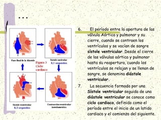 ... 6.  El período entre la apertura de las válvula Aórtica y pulmonar y su cierre, cuando se contraen los ventrículos y se vacían de sangre  sístole ventricular . Desde el cierre de las válvulas aórtica y pulmonar hasta su reapertura, cuando los ventrículos se relajan y se llenan de sangre, se denomina  diástole ventricular. 7.  La secuencia formada por una  Sístole ventricular  seguida de una  diástole ventricular  se conoce como  ciclo cardiaco , definido como el período entre el inicio de un latido cardiaco y el comienzo del siguiente. 