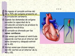 ... En reposo el corazón extrae del 60 a 70% del oxígeno presente en la circulación coronaria. Cuando las demandas de oxígeno exceden la capacidad de la circulación coronaria se produce la isquemia miocárdica. El corazón es drenado por las  venas cardiacas. Las venas que drenan el ventrículo izquierdo vierten en el interior del seno coronario y después entran en la AD. Varias venas que drenan sangre del VD vierten en el interior de la AD y VD. 