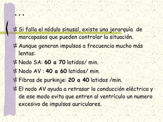 ... Si falla el nódulo sinusal, existe una jerarquía  de marcapasos que pueden controlar la situación. Aunque generan impulsos a frecuencia mucho más lentas: Nodo SA:  60 a 70  latidos/ min. Nodo AV :  40 a 60  latidos/ min. Fibras de purkinje:  20 a 40  latidos /min. El nodo AV ayuda a retrasar la conducción eléctrica y de ese modo evita que entren al ventrículo un numero excesivo de impulsos auriculares. 