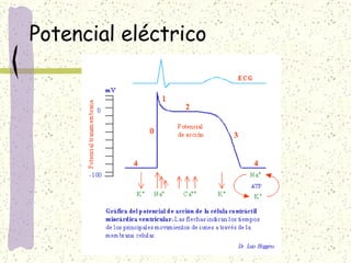 Potencial eléctrico 