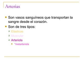 Arterias Son vasos sanguíneos que transportan la sangre desde el corazón. Son de tres tipos: Elásticas Muscular Arteriola *metarteriola 