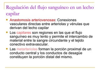 Regulación del flujo sanguíneo en un lecho capilar Anastomosis arteriovenosas : Conexiones vasculares directas entre arteriolas y vénulas que derivan del lecho capilar Los  capilares  son regiones en las que el flujo sanguíneo es muy lento y permite el intercambio de material entre la sangre circundante y el tejido conectivo extravascular. Las  metarteriolas  forman la porción proximal de un conducto central y los conductos de desagüe constituyen la porción distal del mismo. 