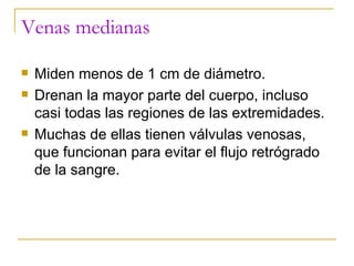 Venas medianas Miden menos de 1 cm de diámetro. Drenan la mayor parte del cuerpo, incluso casi todas las regiones de las extremidades. Muchas de ellas tienen válvulas venosas, que funcionan para evitar el flujo retrógrado de la sangre. 
