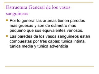 Estructura General de los vasos sanguíneos Por lo general las arterias tienen paredes mas gruesas y son de diámetro mas pequeño que sus equivalentes venosos. Las paredes de los vasos sanguíneos están compuestas por tres capas: túnica intima, túnica media y túnica adventicia 