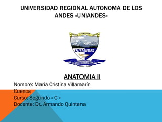 UNIVERSIDAD REGIONAL AUTONOMA DE LOS
ANDES «UNIANDES»
ANATOMIA II
Nombre: Maria Cristina Villamarín
Cuenca
Curso: Segundo « C «
Docente: Dr. Armando Quintana
 