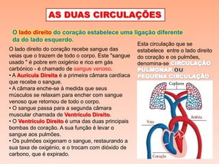 AS DUAS CIRCULAÇÕES
 O lado direito do coração estabelece uma ligação diferente
 da do lado esquerdo.
                                                    Esta circulação que se
O lado direito do coração recebe sangue das         estabelece entre o lado direito
veias que o trazem de todo o corpo. Este "sangue    do coração e os pulmões,
usado " é pobre em oxigénio e rico em gás           denomina-se
carbónico - é chamado de sangue venoso.
• A Aurícula Direita é a primeira câmara cardíaca
que recebe o sangue.
• A câmara enche-se à medida que seus
músculos se relaxam para encher com sangue
venoso que retornou de todo o corpo.
• O sangue passa para a segunda câmara
muscular chamada de Ventrículo Direito.
• O Ventrículo Direito é uma das duas principais
bombas do coração. A sua função é levar o
sangue aos pulmões.
• Os pulmões oxigenam o sangue, restaurando a
sua taxa de oxigénio, e o trocam com dióxido de
carbono, que é expirado.
 