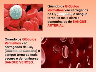 Quando os Glóbulos
                        Vermelhos vão carregados
                        de O2 (         ) o sangue
                        torna-se mais claro e
                        denomina-se de SANGUE
                        ARTERIAL.



Quando os Glóbulos
Vermelhos vão
carregados de CO2
(                  )o
sangue torna-se mais
escuro e denomina-se
SANGUE VENOSO.
 