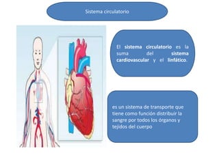 El sistema circulatorio es la
suma del sistema
cardiovascular y el linfático.
es un sistema de transporte que
tiene como función distribuir la
sangre por todos los órganos y
tejidos del cuerpo
Sistema circulatorio
 