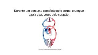 Durante um percurso completo pelo corpo, o sangue
passa duas vezes pelo coração.
Gif: https://br.pinterest.com/sciencelover9/biology/
 