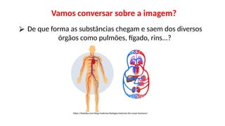 ⮚ De que forma as substâncias chegam e saem dos diversos
órgãos como pulmões, fígado, rins...?
Vamos conversar sobre a imagem?
https://beduka.com/blog/materias/biologia/sistemas-do-corpo-humano/
 