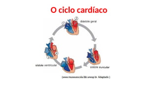 O ciclo cardíaco
 