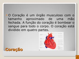 Coração O Coração é um órgão musculoso com o tamanho aproximado de uma mão fechada. A função do coração é bombear o sangue para todo o corpo. O coração está dividido em quatro partes. 