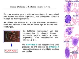 Nossa Defesa: O Sistema Imunológico As células do sistema imune são altamente organizadas como um exército. Cada tipo de célula age de acordo com sua função.  De uma maneira geral o sistema imunológico é responsável pela defesa do nosso organismo, nos protegendo contra a invasão de microorganismos. CLICK AQUI   Os linfócitos representam um dos componentes do sistema imune  importante para a defesa de nosso organismo. São classificados em linfócitos B e T.  Os  linfócitos B   são responsáveis pela produção de anti-corpos e os  linfócitos T   estão relacionados a imunidade mediada por células. 
