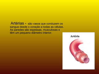 Artérias -   são vasos que conduzem os sangue desde o coração a todas as células. As paredes são espessas, musculosas e têm um pequeno diâmetro interior. 